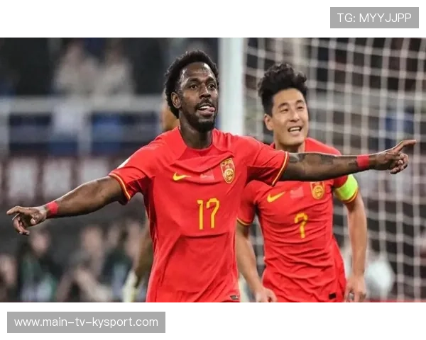 归化政策对中国足球有何深远影响，归化球员中国足球归化几个球员