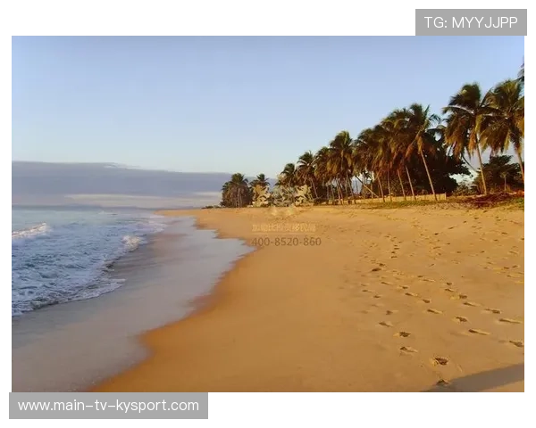 多米尼克长跑运动队取得佳绩，多米尼克 poi